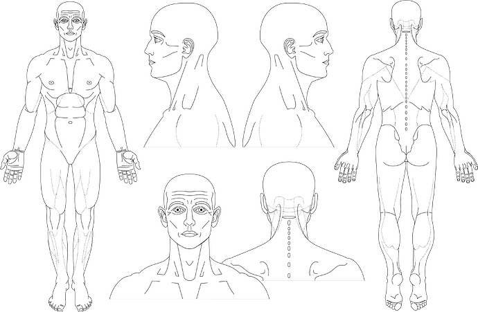 bodyuclh2018