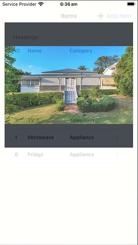 Simulator Screenshot - iPhone SE (3rd generation) - 2025-05-21 at 06.36.41