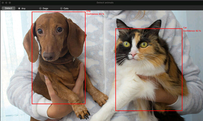 DogsAndCats