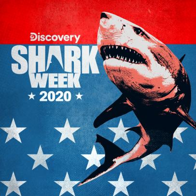 sharkweek202